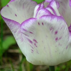 Meet your Posher, Sandy